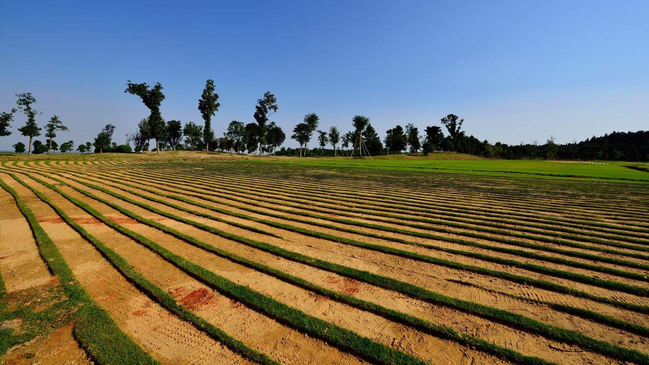 土壤水分溫度速測(cè)儀